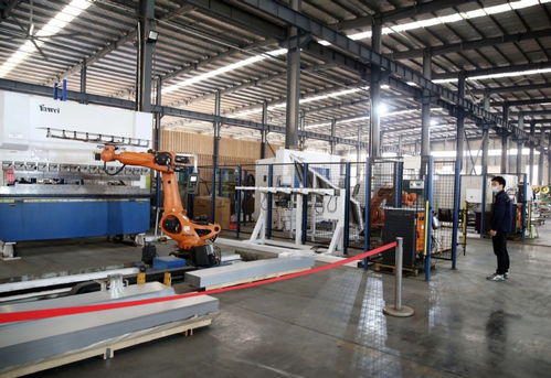 河南西平 智能驅動，加速畜牧設備產業轉型升級